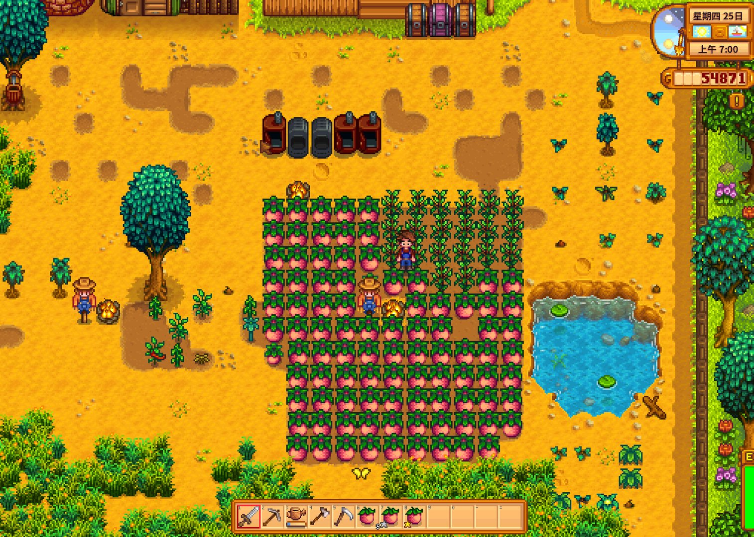 上古卷轴5:天际 年度版 截图10