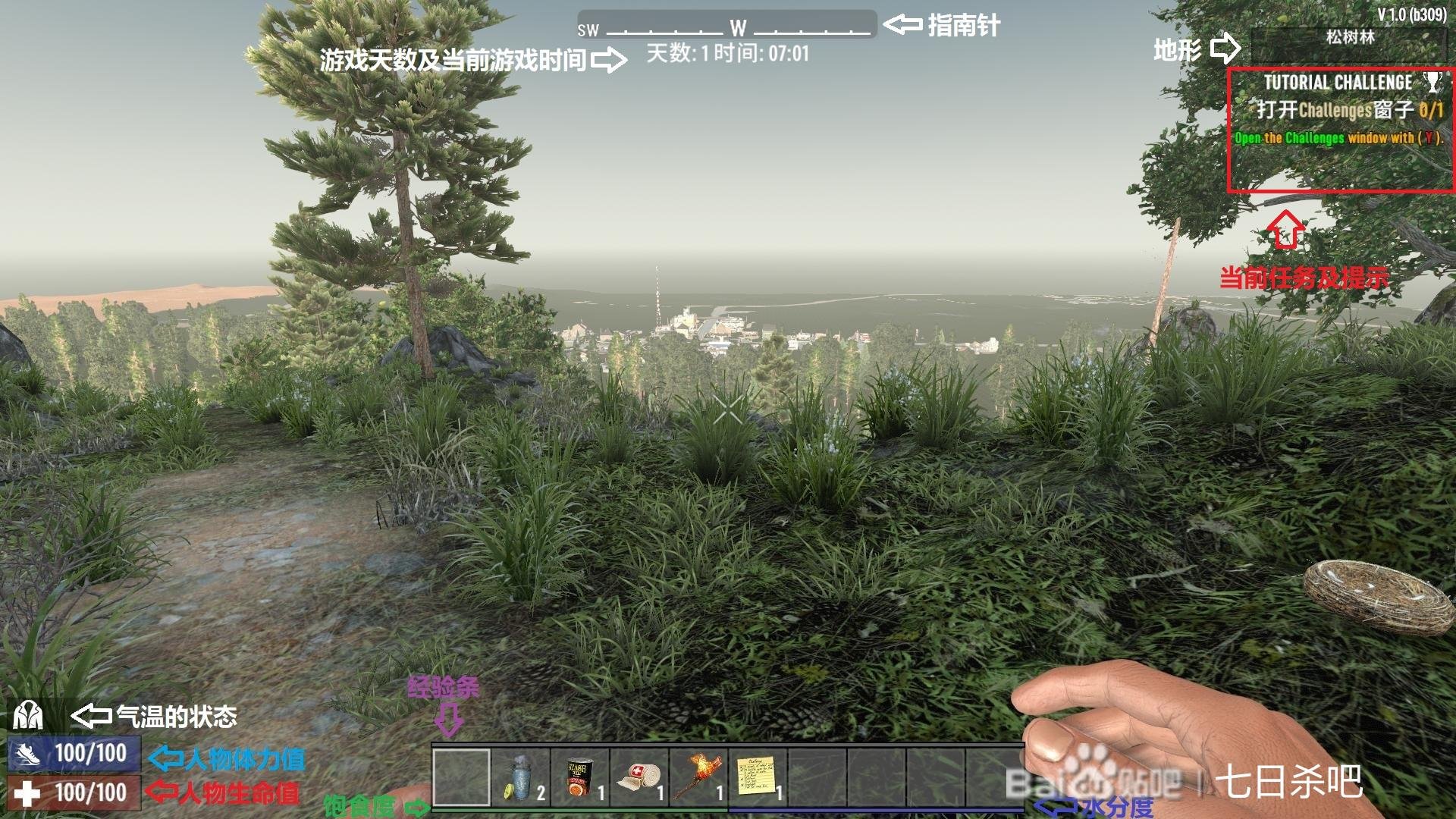 塞尔达传说：旷野之息 年度版 截图8