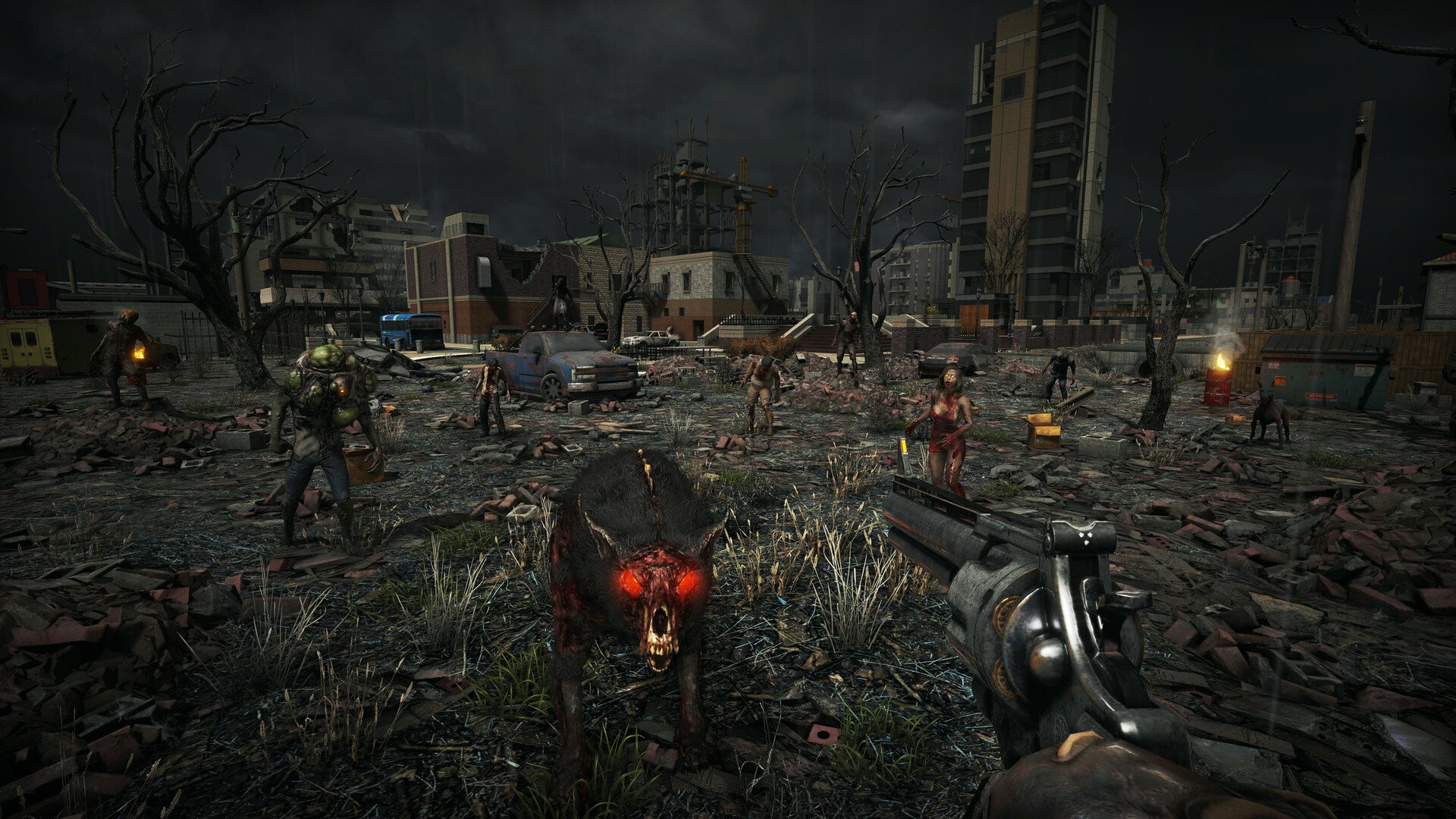 塞尔达传说：旷野之息 年度版 截图9